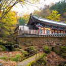 윤상태 | 대구 가볼만한곳 앞산 안일사 | 독립운동의 숨결을 간직한 역사 깊은 사찰