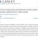 라라올라 이미지