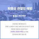 세란정형외과 네이버블로그