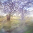 봄을 그리다 이미지