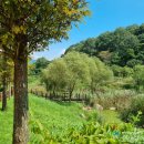 세자트라(방문자센터) 이미지