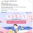 인천시 건강과 환경을 동시에 함께해요! 벚꽃 플로킹 이미지