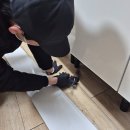 진주알파방역