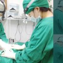 퍼스트 동물병원 이미지