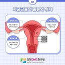 경희DMC한의원 이미지