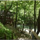 미계 신의련 유적비 이미지