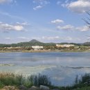 단원병원앞 | 경기도 안산시 단원구 초지동 화랑유원지 나들이 산책하고 김홍도축제 갔습니다.