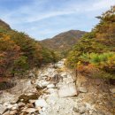 무릉계곡 이미지