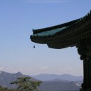 정선아리랑 Daum카페