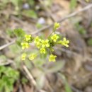 구현초등(병설) 이미지