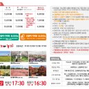 와룡농장 | 수국축제 보러 가기 좋은 제주도 가볼만한곳 휴애리