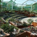 과일나라테마공원3 이미지