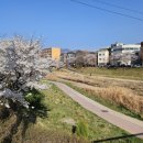 덕풍천서로 이미지