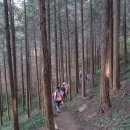 죽림여천농협(앞) 이미지