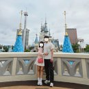 (주)브레이드 | 서울 롯데월드 임산부 탑승가능 놀이기구_풍선비행, 모노레일, 퍼레이드, 마리오네트 공연 명당꿀팁