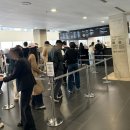 작업실오후 화장실 | "데미안 허스트" 국립현대미술관 서울관 전시 취소표 줍줍 성공 후기