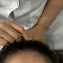 장샹떼플러스 이미지