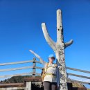 (주)신대한환경 지점 | 11월 한라산 등산 후기 | 성판악→관음사코스 | 날씨 옷차림 숙소 화장실 소요시간