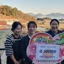카페제이 경남매일