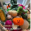 그립톡 양모펠트 | 수원 행궁동 소품샵 투어(4) :: &lt;럭희 (LUCKHEE)&gt; 소품샵 | 아기자기 끝판왕 오니오니 2호점