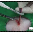 미드미동물병원 이미지