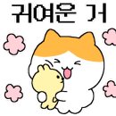 다이아뷰티 이미지