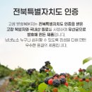 부모님선물용 고창발효복분자 맛있고 먹기 편해요