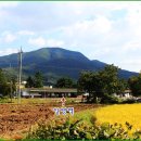 시월에농장 이미지