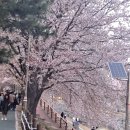 얼룩빼기이박사행복크리닝 네이버블로그