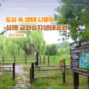금와습지 생태공원 | [아이와 뭐하지] 완주 산책하기 좋은 곳 - 삼례 금와습지생태공원과 주변 볼거리