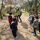화랑 유아숲체험원 이미지