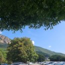 공주 계룡산 동학사 1코스, 동학사 주차장 ~관음봉 등산코스 후기⛰