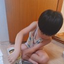 대진 윙 태권도 이미지