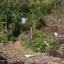 공지산 둘레길 이미지