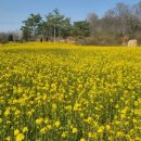 24호선 국도변 이미지