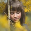 법백로1 이미지