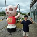 허경호 오돌