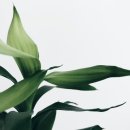자연 NATURE 이미지