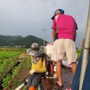 이삭도우미 이미지