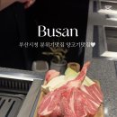 양소록 이미지