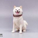 케이엑스제이