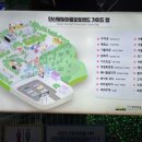 대웅주유소 | 안산 별빛마을 포토랜드 방문기: 가족, 연인, 친구와 함께하는 빛의 축제
