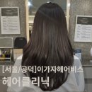[서울/공덕] 수분 가득 헤어클리닉 "이가자헤어비스" 후기
