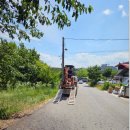 현대철재태양광발전소 이미지