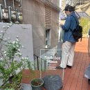 HAUS | [신사역 디저트 카페]신사역 카페 추천 / 새들러하우스 (SADDLER HAUS) 내돈내산 후기