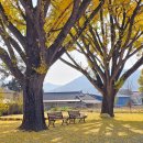 점곡초등학교 이미지