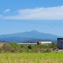 신평리 도요지 이미지