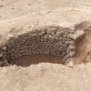 강진10호 이미지