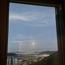 김해축산업협동조합하나로마트장유점 이미지