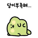 배바우슈퍼 이미지